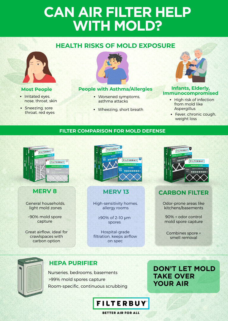 Infographic explaining how air filters help with mold, including health risks and comparison of MERV 8, MERV 13, carbon filters, and HEPA purifiers for mold spore control.